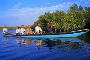 GAMBIA, River Gambia, tourists in dug out canoe (pirogue) on bird watching tour, GAM935JPL A 300